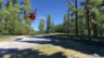 Microsoft Flight Simulator 2024 PS5