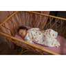 PHILIPS AVENT standard baby monitor SCD953/26