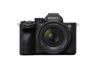 Sony Alpha a7R V