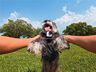 Insta360 GO Ultra Creator (Arctic Wh) + Insta360 Mic Air Transmitter