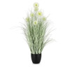 BIZZOTTO cebolla 105cm lončanica