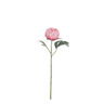 BIZZOTTO dekorativni cvijet peonija 52cm roza