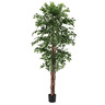 BIZZOTTO fikus 210cm lončanica