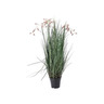 BIZZOTTO grevillea 100cm lončanica roza