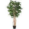 BIZZOTTO kanadski javor 195cm pvc