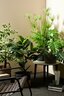 BIZZOTTO maslina 90cm pvc