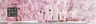 RITUALS The Ritual Of Sakura balzam za ruke 70ml
