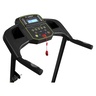 Lifefit® sklopiva traka za trčanje TM3100 / 2.0 HP