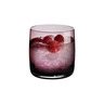 ASA Selection Sarabi Berry čaše za vodu 200 ml, set 6/1