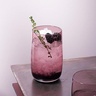 ASA Selection Sarabi Berry čaše za vodu 200 ml, set 6/1