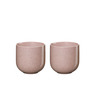 ASA Selection Coppa Hanami šoljice za čaj 200 ml, set 2/1
