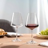 Leonardo Paladino čaša za crno vino 660 ml
