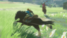 The Legend of Zelda: Breath of the Wild Switch