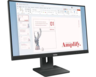 LENOVO monitor ThinkVision E24-40, 23,8" FullHD IPS Anti-Glare, 100Hz, zvučnici, podesivo postolje