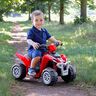 Peg Perego Polaris Mini električni quad 6V Lithium, 1+