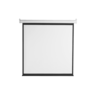 SBOX motorno platno za projektor PSA-112-2, 200 x 200 cm