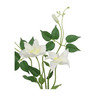 Cvijet klematis 71 cm bijeli PVC