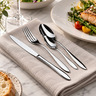 Salvinelli stolne kašike Galileo 12/1, inox 18/10 / CTGA