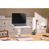 Gembird podesivo postolje za laptop NBS-D1-02, podesiva visina, srebrno