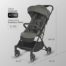 Coccolle sportska kolica Melia, Sage Shadow / 325032781