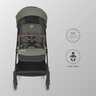 Coccolle sportska kolica Melia, Sage Shadow / 325032781