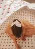 Mrs Ertha Scrunchies ukrasna gumica sa mašnom – Lovely Roots