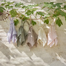 Elodie Mazilica Blinkie - Lola Lavender Love
