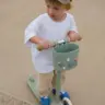 Banwood Pin & Ride ukrasni pinovi - Dinosaurs