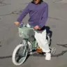 Banwood Pin & Ride ukrasni pinovi - Dinosaurs