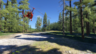 Microsoft Flight Simulator 2024 PS5
