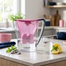 BWT Aqualizer Home +Mg bokal za filtriranje vode 2,7 l, ljubičasti