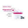 BWT Magnesium Mineralized Water filter za bokal, 3 kom