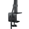 ARCTIC stolni nosač za monitor X1, za 1 monitor, VESA 75x75 / 100x100