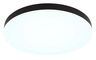 Globo plafonjera crna mat LED 12384-50