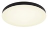 Globo plafonjera crna mat LED 12384-50