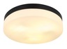 Globo plafonjera Vranos 32113B