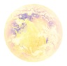 Globo plafonjera 41778-24