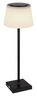 Globo stolna lampa 58434B