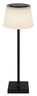 Globo stolna lampa 58434B