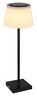Globo stolna lampa 58434B