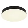 Globo plafonjera crna mat LED 13384-24