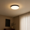 Globo plafonjera crna mat LED 13384-24