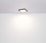 Globo plafonjera Lasse led crna 24 W LED 12380-24B