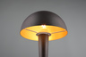 Globo stolna lampa Canaria R59561180