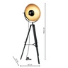 Globo podna lampa Miram 58308