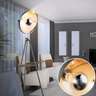 Globo podna lampa Miram 58308