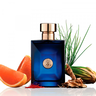 Versace Dylan Blue EDT muška toaletna voda 100 ml