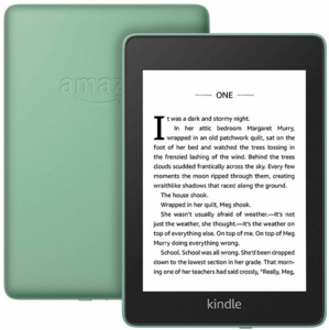 Amazon Kindle Paperwhite 2018 8GB Sage (zeleni),WiFi, 300 dpi, E-Book Reader