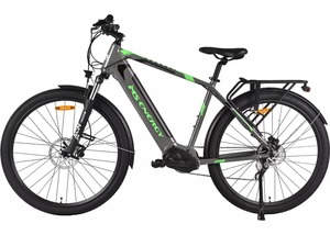 MS ENERGY električni bicikl t100