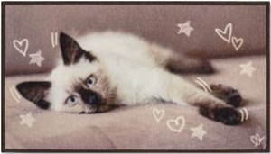 OLIVO TAPETTI podloga PET DIGITAL 40 x 75 cm, motiv mačke